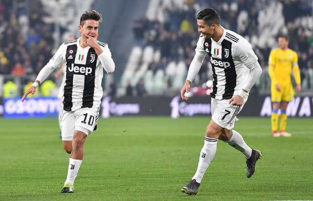 哈珀与福克斯的深厚友谊（哈珀与福克斯之间的深厚情谊）